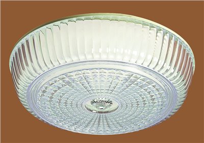 RD3101